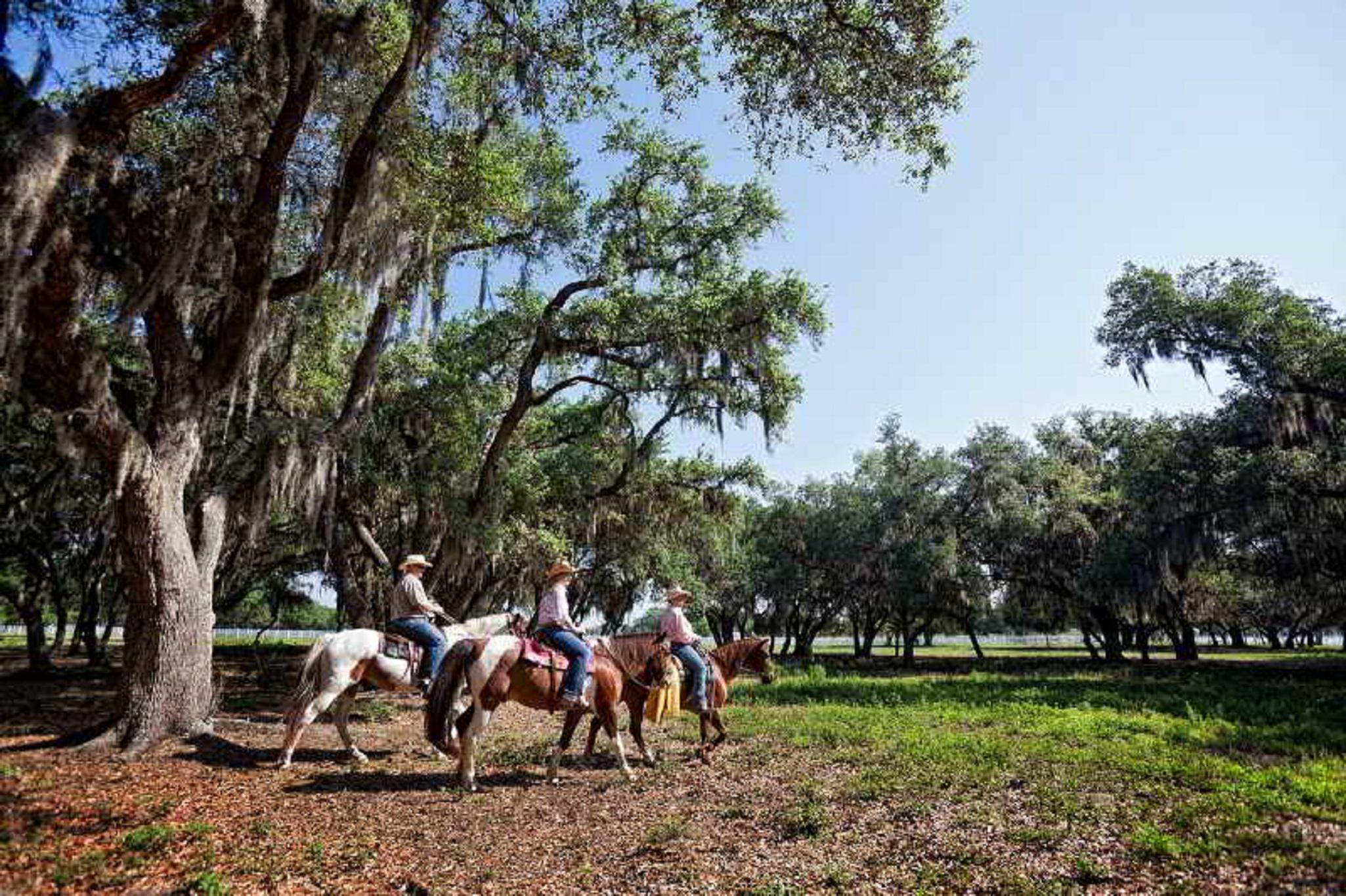 Westgate River Ranch Resort & Rodeo Ngoại thất bức ảnh